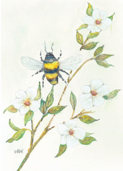 5x7 Inch Framable Art Cards with Envelope