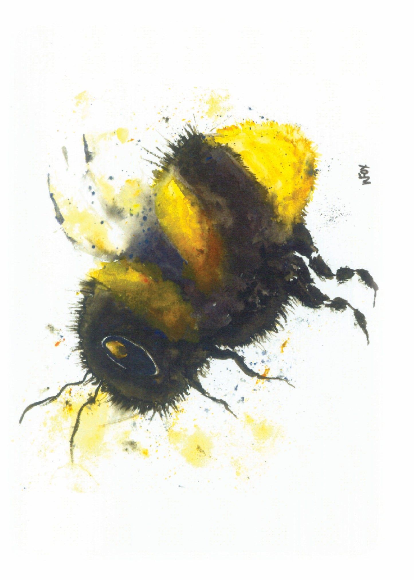 5x7 Inch Framable Art Cards with Envelope