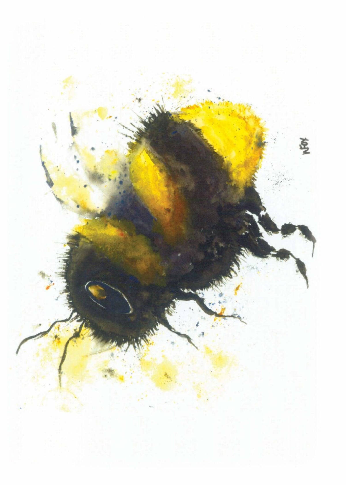 5x7 Inch Framable Art Cards with Envelope