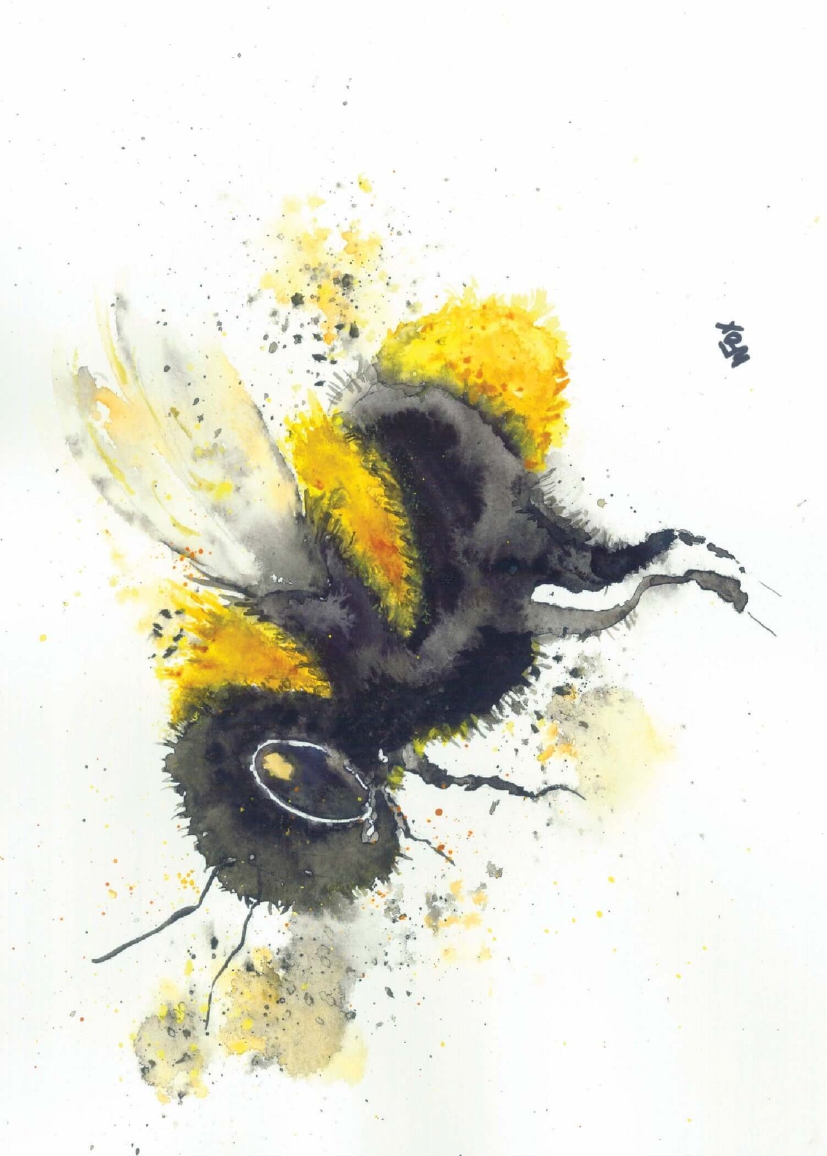5x7 Inch Framable Art Cards with Envelope