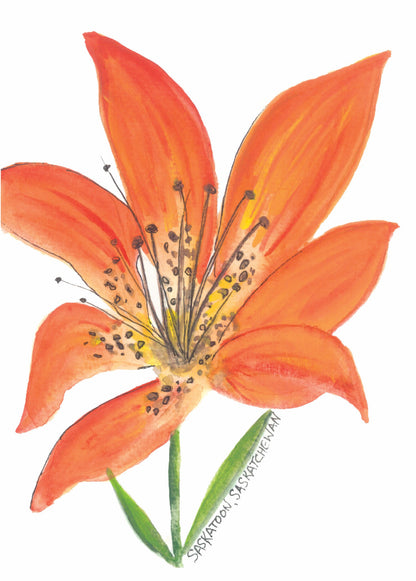 5x7 Inch Framable Art Cards with Envelope