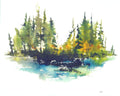 Majestic Colorful Prints on Paper