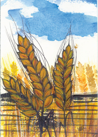 5x7 Inch Framable Art Cards with Envelope