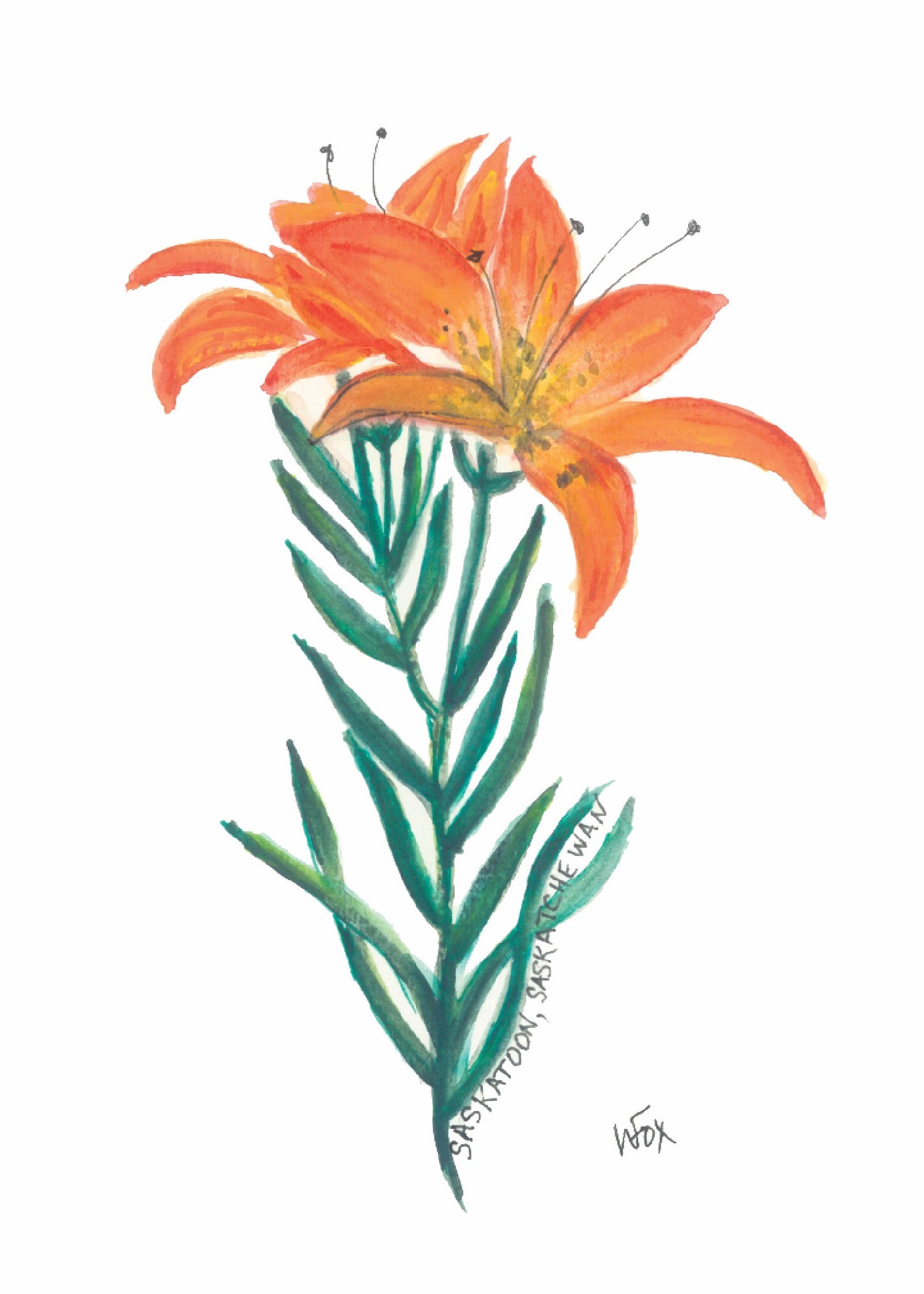 5x7 Inch Framable Art Cards with Envelope