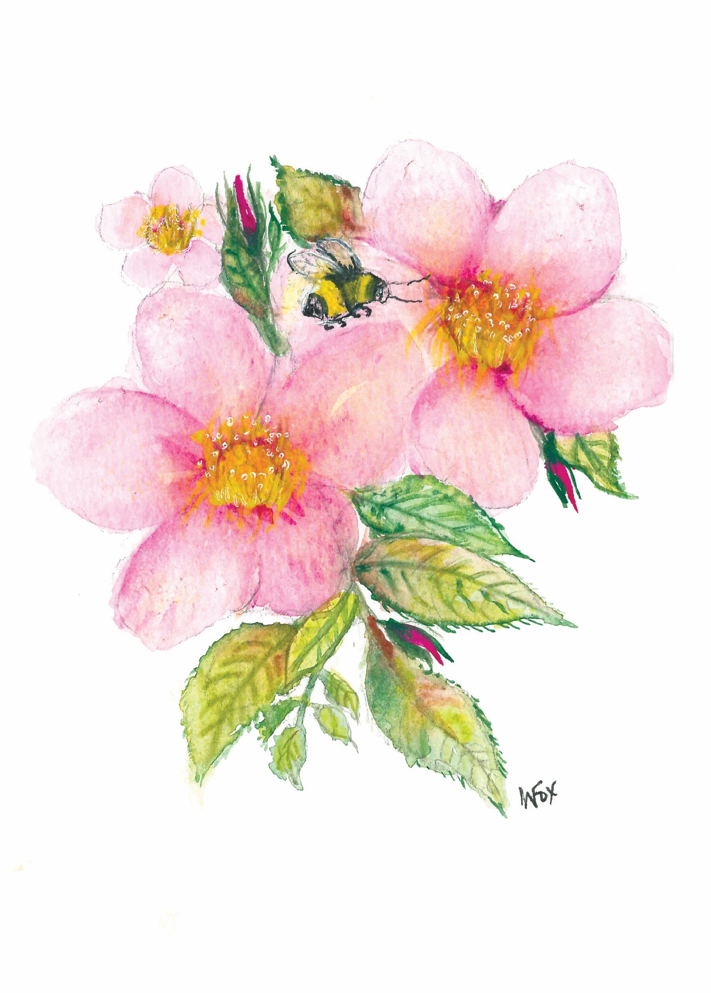 5x7 Inch Framable Art Cards with Envelope